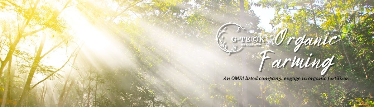 Σχηματισμένα χηλική ένωση αμινοξέα